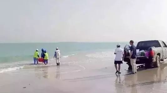 8188cc威尼斯(中国)有限公司官网