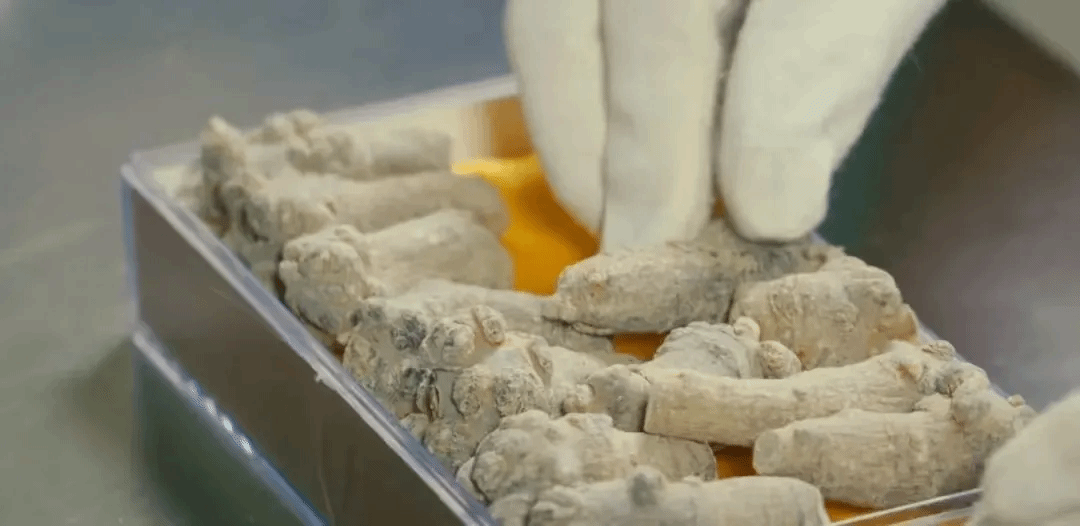 8188cc威尼斯(中国)有限公司官网