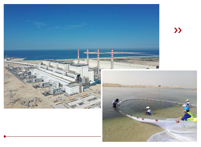 8188cc威尼斯(中国)有限公司官网