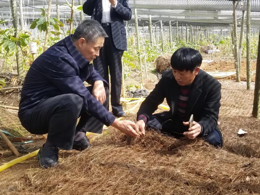 8188cc威尼斯(中国)有限公司官网