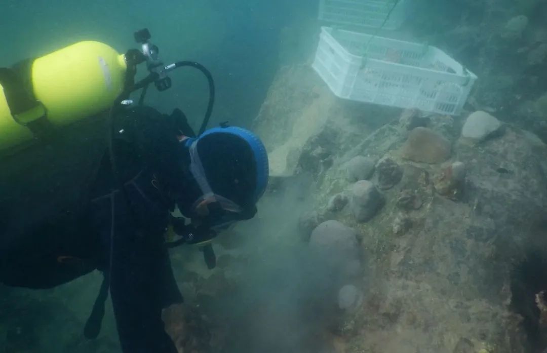 8188cc威尼斯(中国)有限公司官网