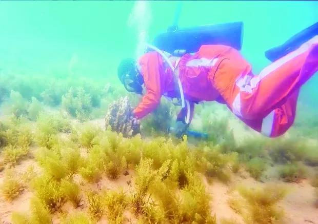 8188cc威尼斯(中国)有限公司官网