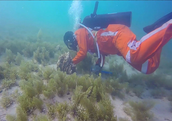 8188cc威尼斯(中国)有限公司官网