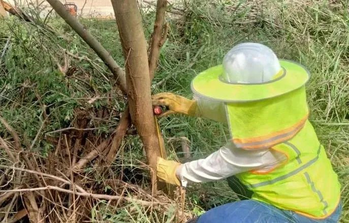 8188cc威尼斯(中国)有限公司官网