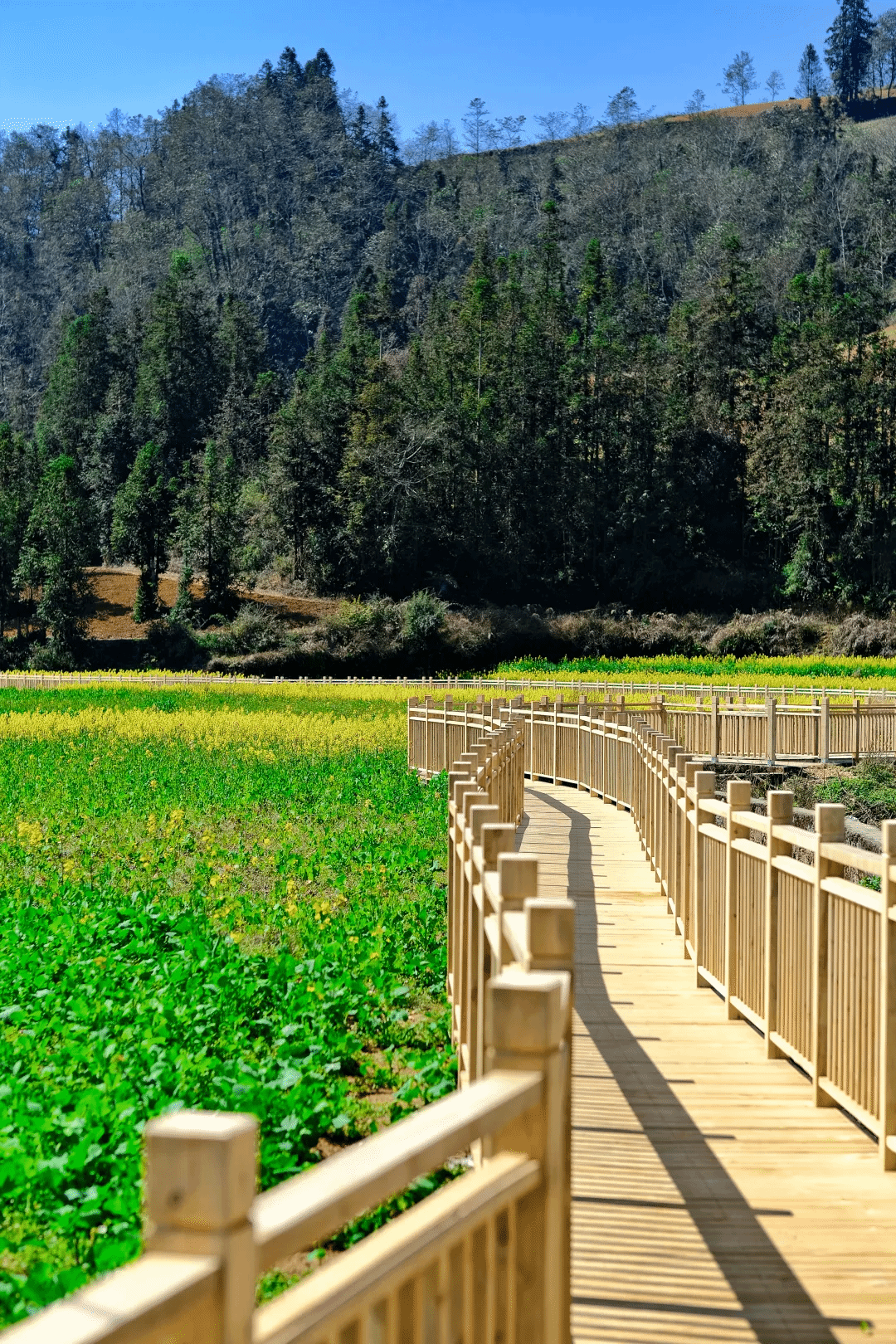 8188cc威尼斯(中国)有限公司官网