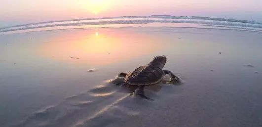 8188cc威尼斯(中国)有限公司官网