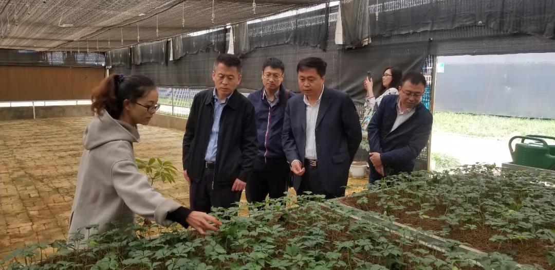 8188cc威尼斯(中国)有限公司官网