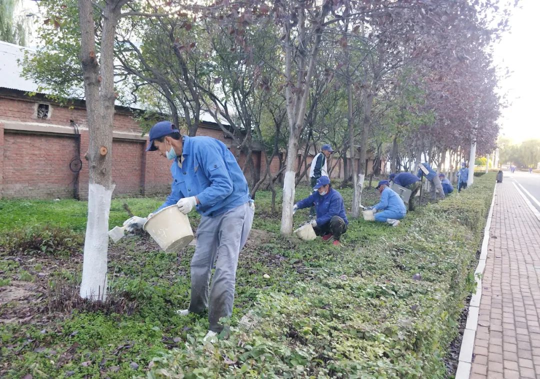 8188cc威尼斯(中国)有限公司官网