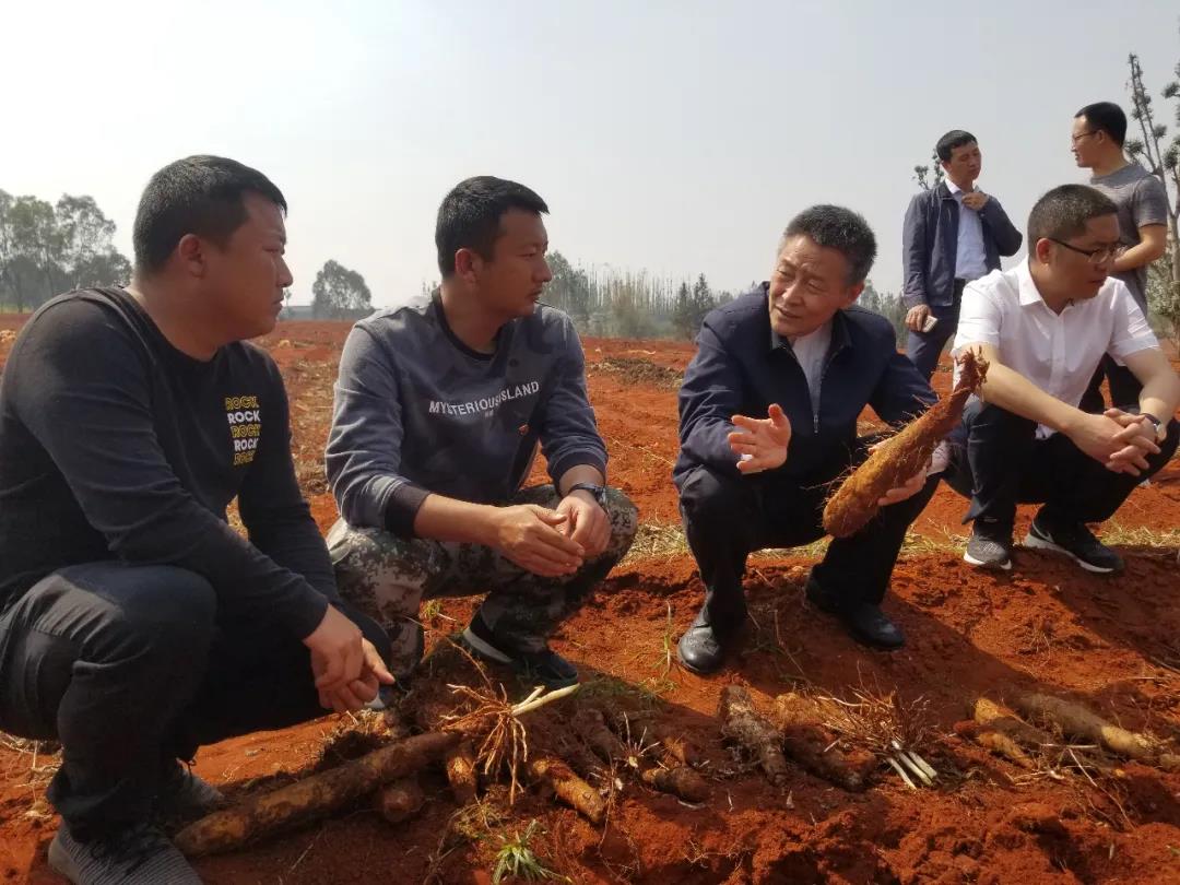 8188cc威尼斯(中国)有限公司官网