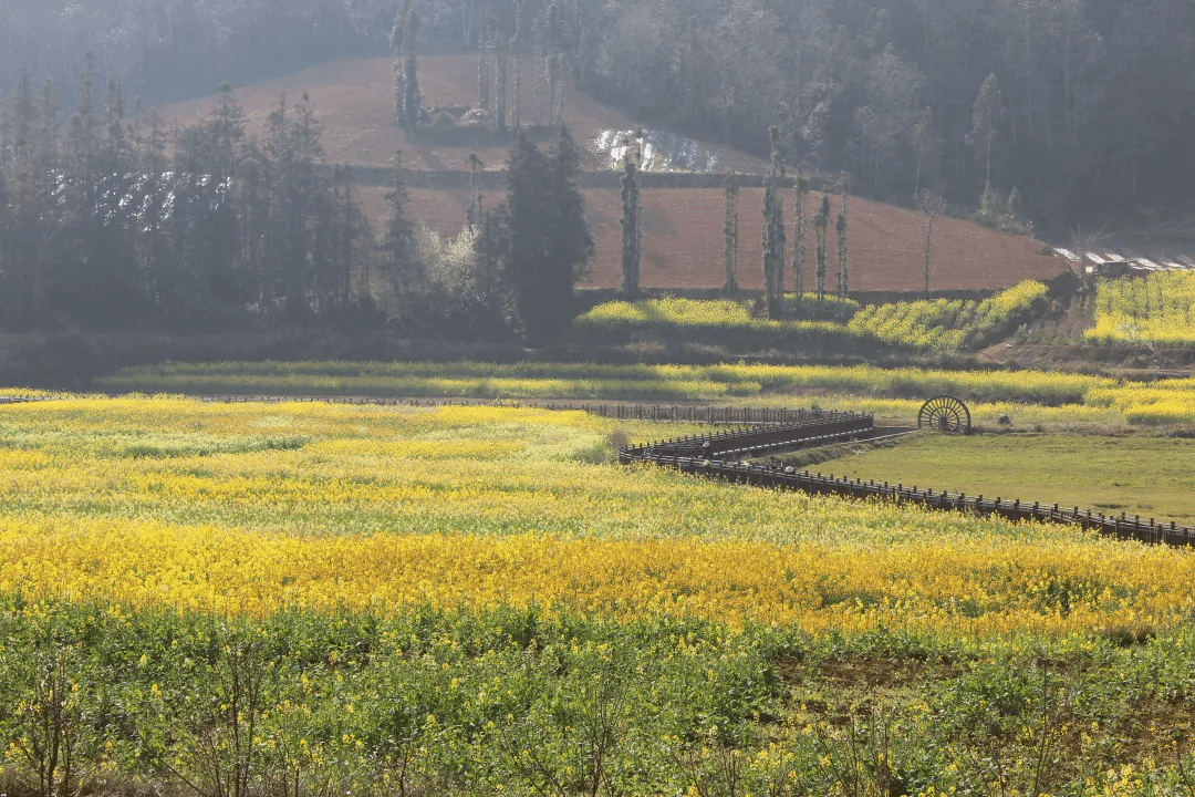 8188cc威尼斯(中国)有限公司官网