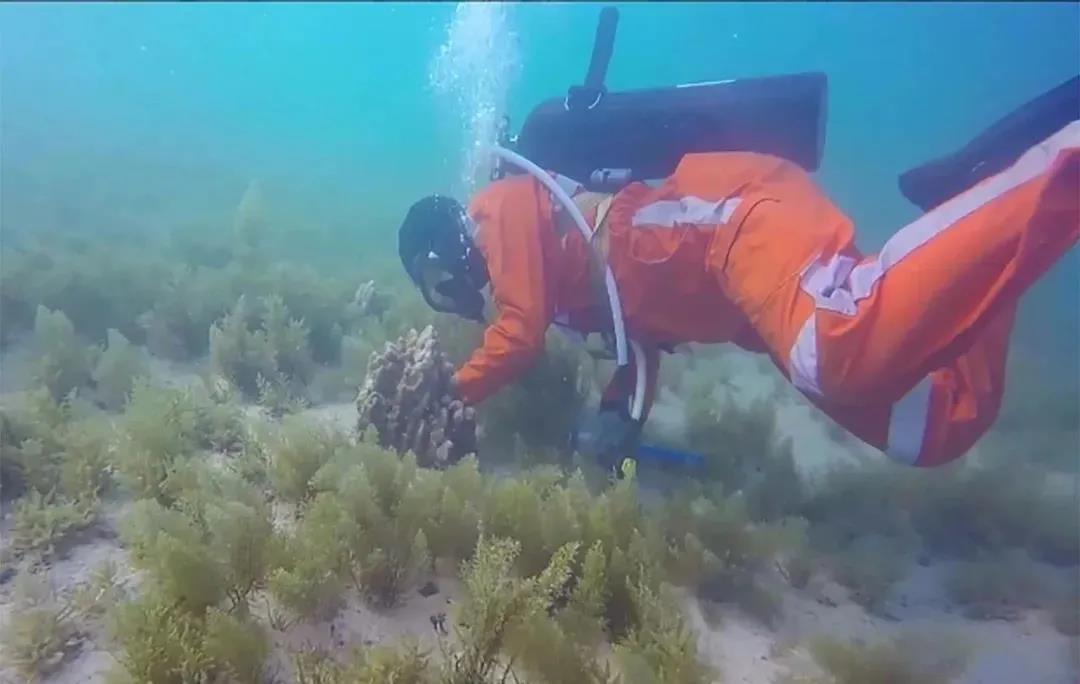 8188cc威尼斯(中国)有限公司官网