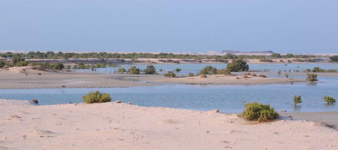 8188cc����˹(�й�)���޹�˾����