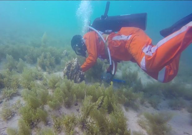 8188cc����˹(�й�)���޹�˾����