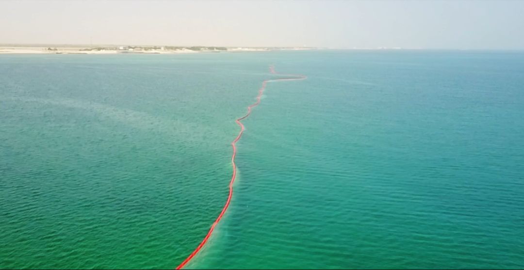 8188cc����˹(�й�)���޹�˾����