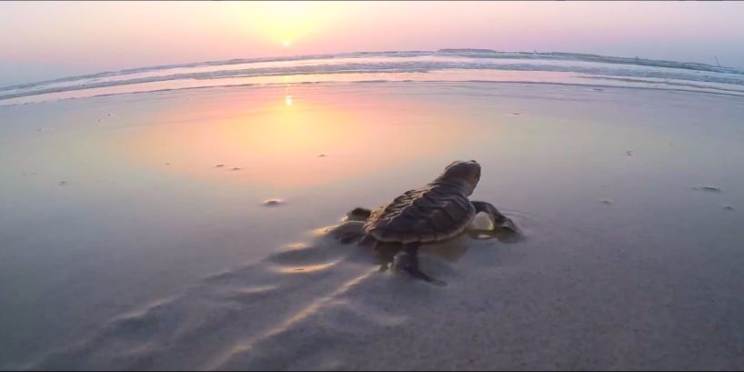 8188cc����˹(�й�)���޹�˾����