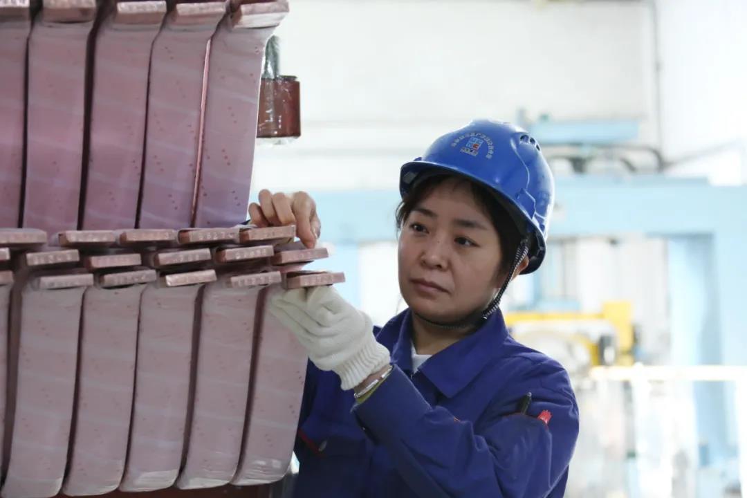 8188cc����˹(�й�)���޹�˾����